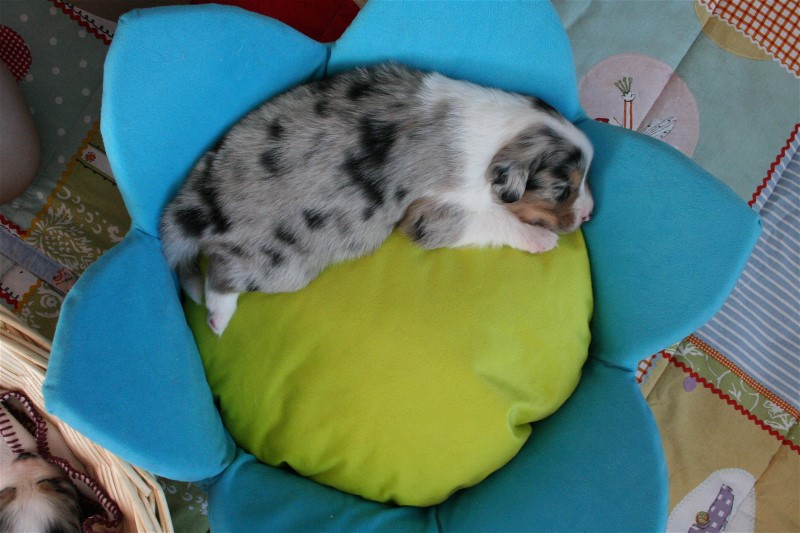 Shanti 22 days.jpg